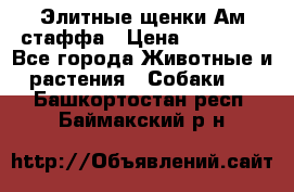 Элитные щенки Ам.стаффа › Цена ­ 25 000 - Все города Животные и растения » Собаки   . Башкортостан респ.,Баймакский р-н